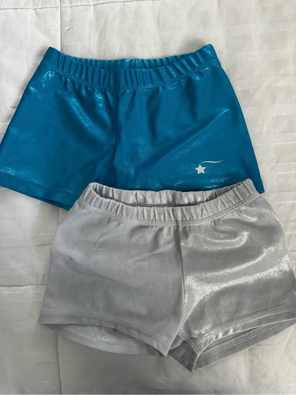 Shimmery Teal and Silver Dance Shorts
